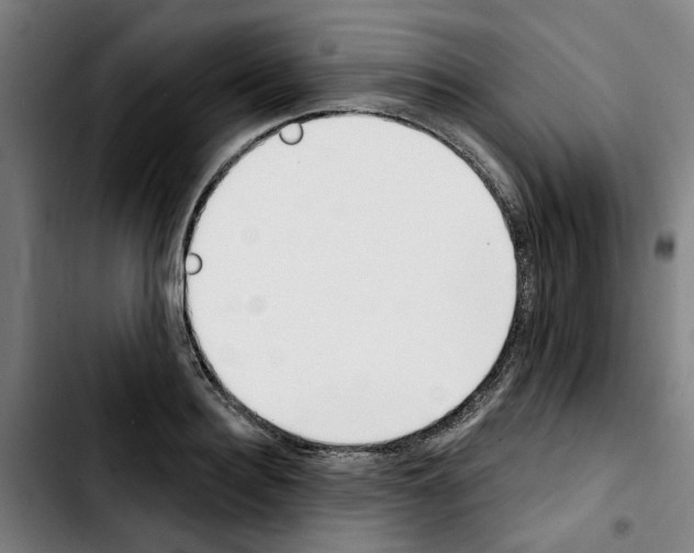 X0000103420940200810241031