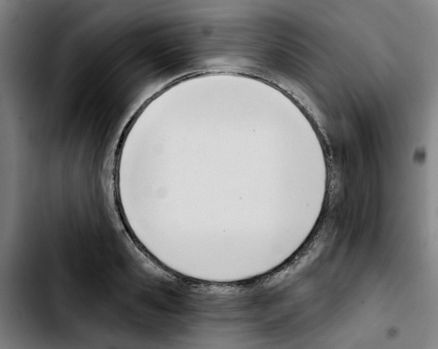 X0000103420941200810241031