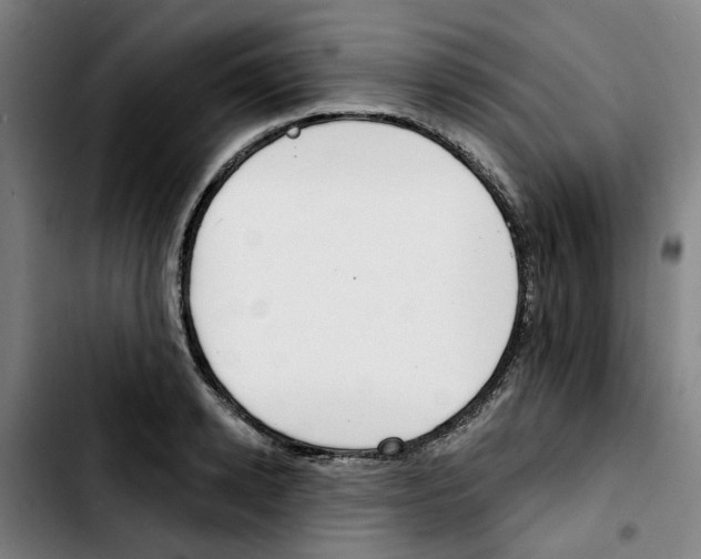 X0000103420942200810241031