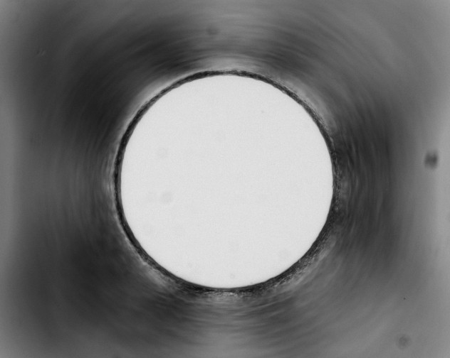 X0000103420943200810241031