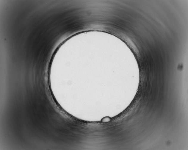 X0000103420944200810241031