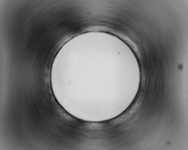 X0000103420945200810241031