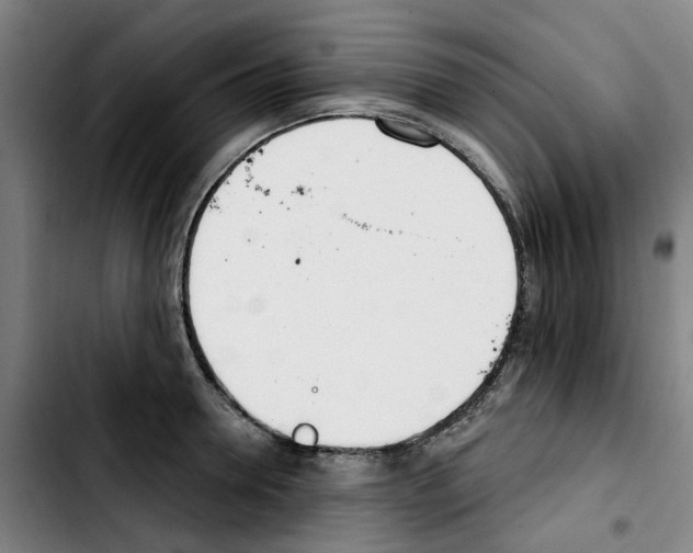 X0000103420946200810241031