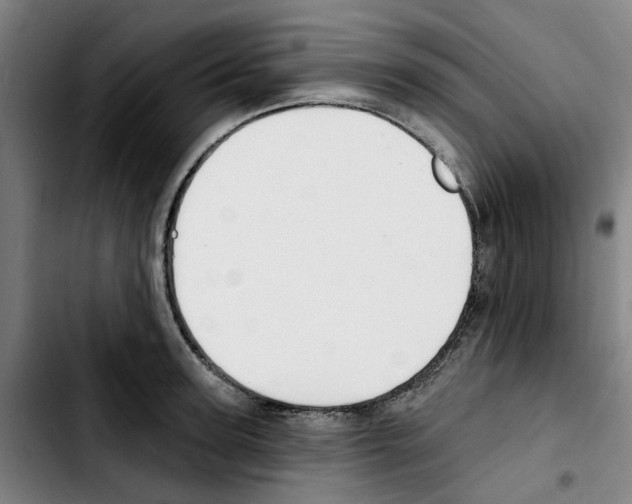 X0000103420947200810241031