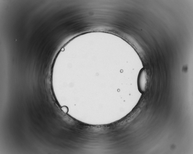 X0000103420948200810241031