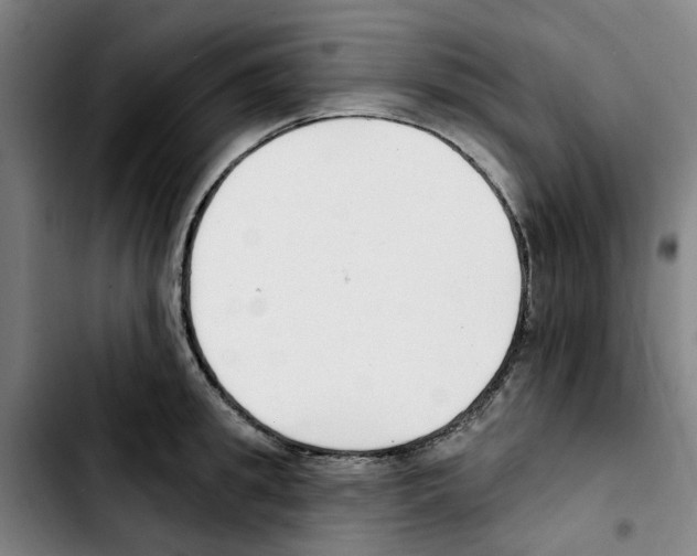 X0000103420949200810241031