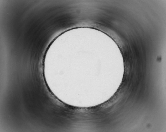 X0000103420950200810241031