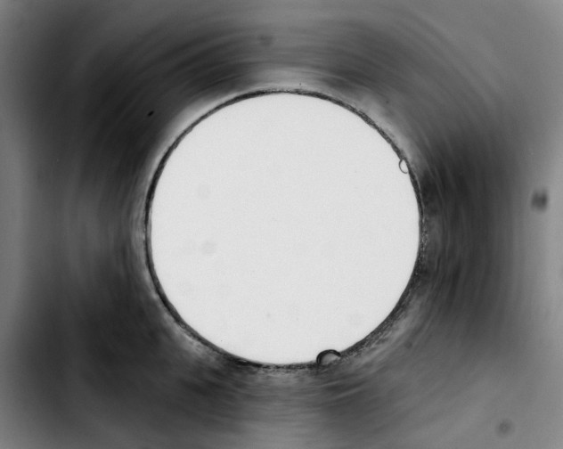 X0000103420951200810241031