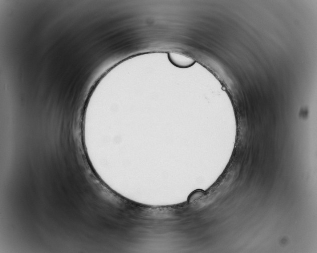 X0000103420952200810241031