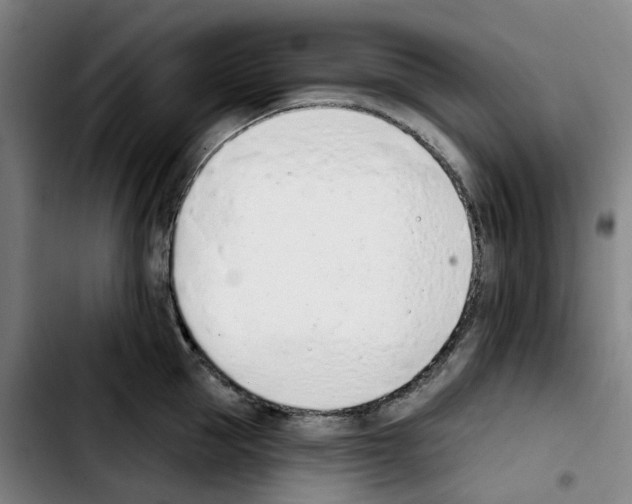 X0000103420953200810241031