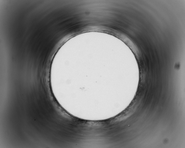 X0000103420954200810241031