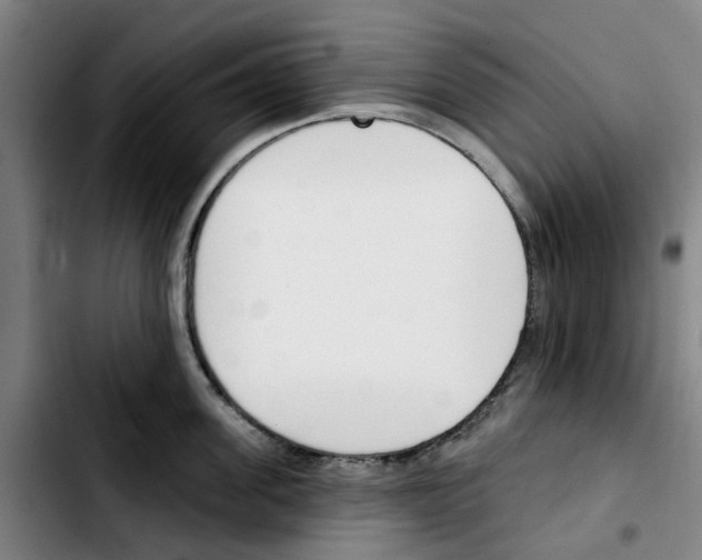 X0000103420955200810241031