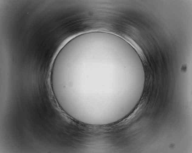 X0000103420956200810241031