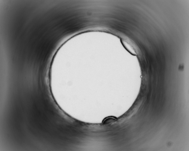 X0000103420959200810241031