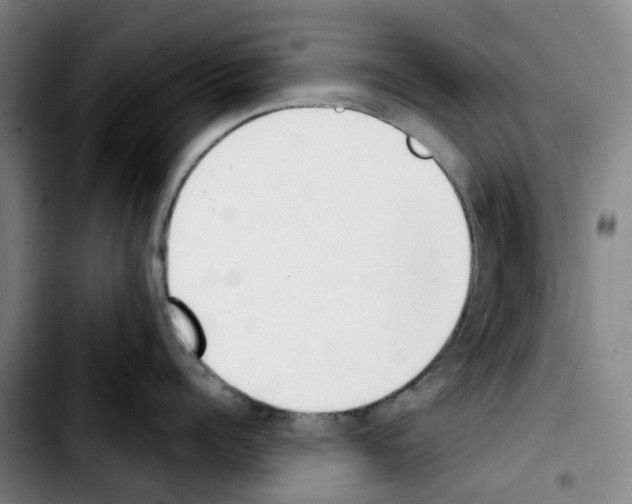 X0000103420960200810241031