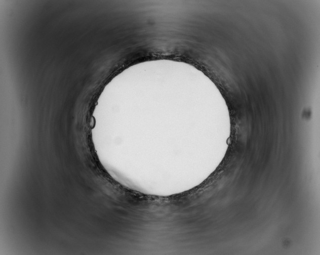 X0000103420961200810241030