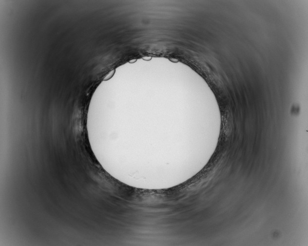 X0000103420962200810241030