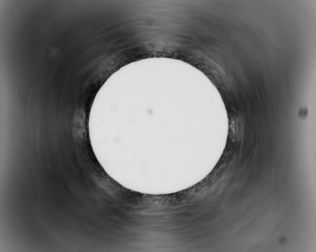 X0000103420963200810241030