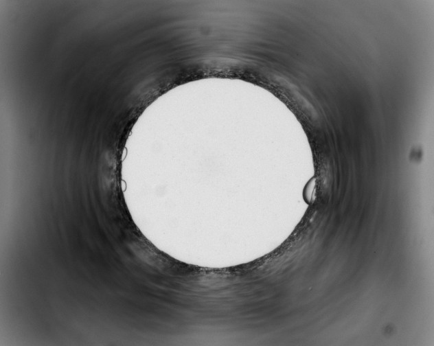 X0000103420964200810241030