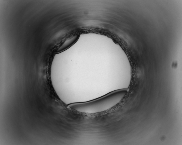 X0000103420965200810241030