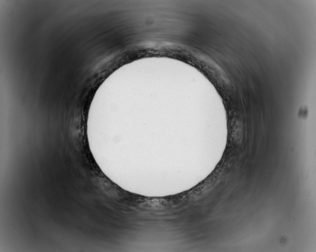 X0000103420966200810241030