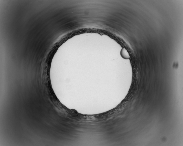 X0000103420968200810241030