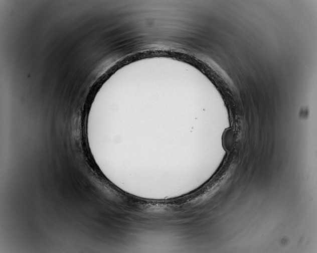 X0000103420969200810241030