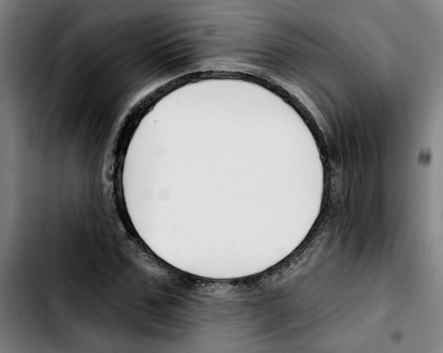 X0000103420971200810241030