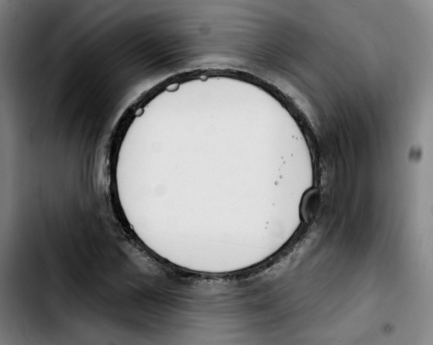 X0000103420973200810241030