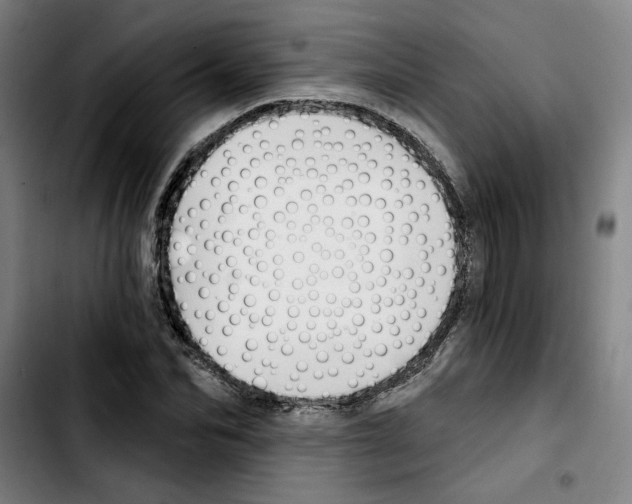 X0000103420974200810241030