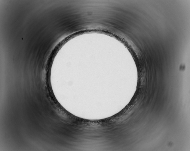 X0000103420975200810241030