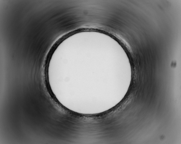 X0000103420976200810241030