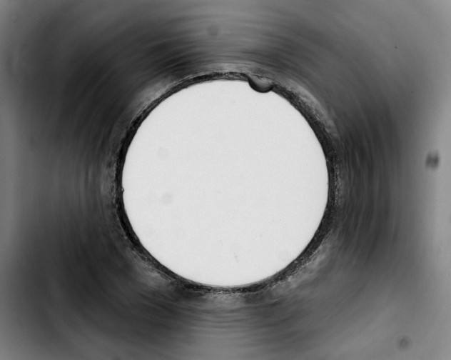 X0000103420977200810241030