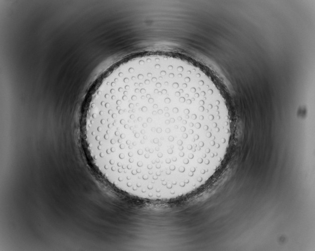 X0000103420978200810241030