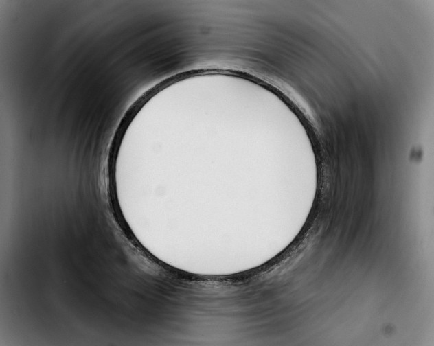 X0000103420980200810241030
