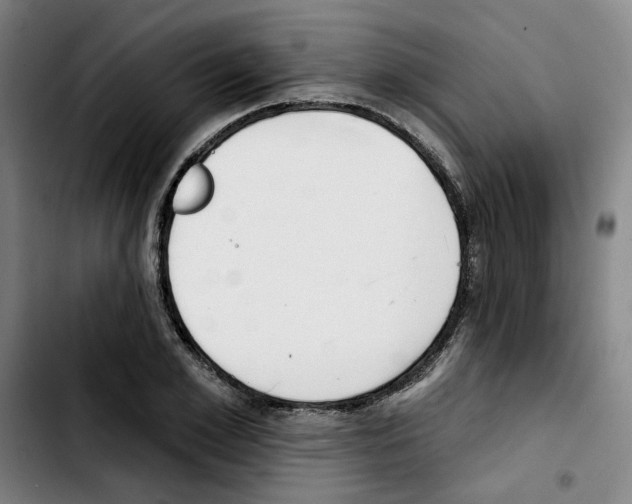 X0000103420981200810241030