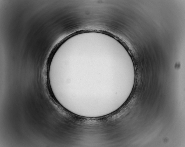 X0000103420982200810241030