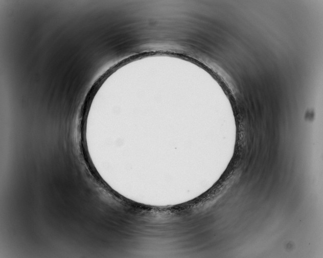 X0000103420983200810241030