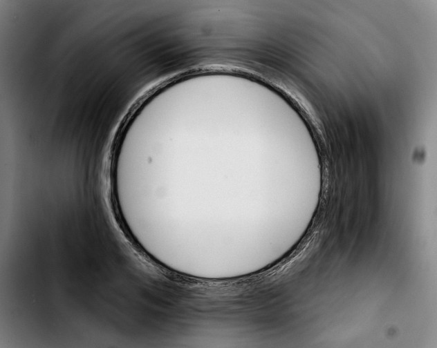 X0000103420984200810241030