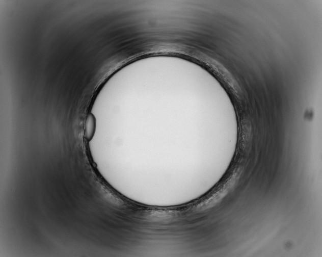 X0000103420985200810241030