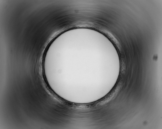 X0000103420986200810241030