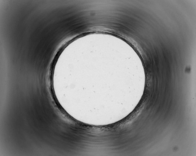 X0000103420987200810241030