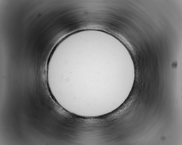 X0000103420988200810241030