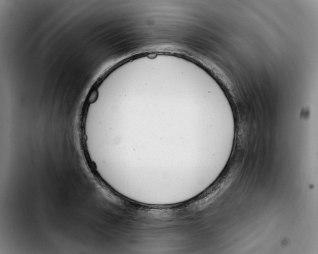 X0000103420989200810241030