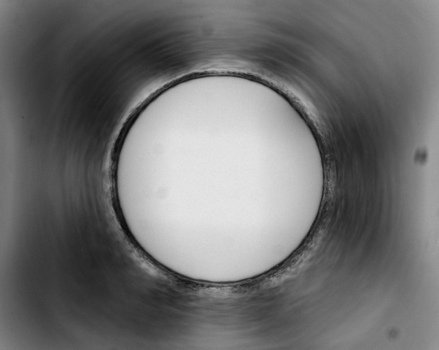 X0000103420990200810241030