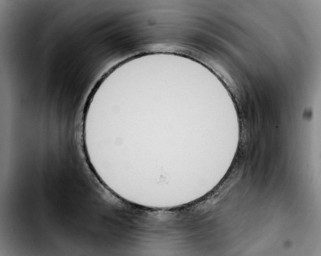 X0000103420992200810241030