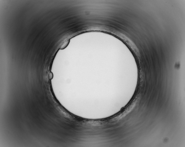 X0000103420993200810241030
