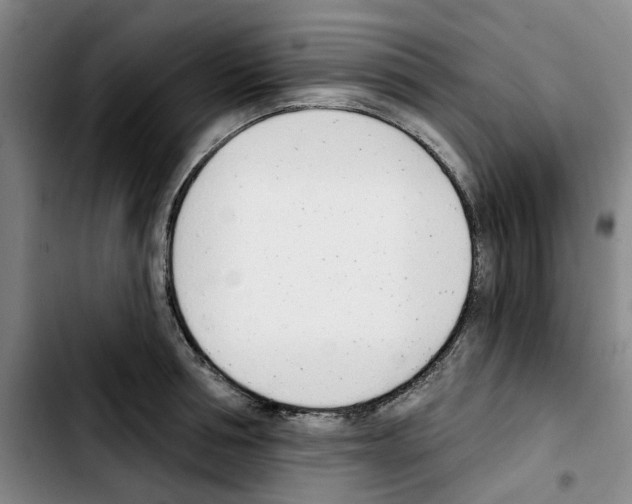 X0000103420994200810241030