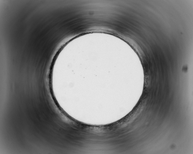 X0000103420995200810241030