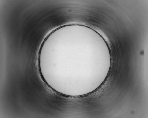 X0000103420996200810241030